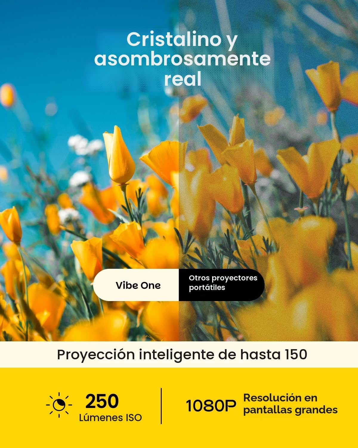 vibeone6